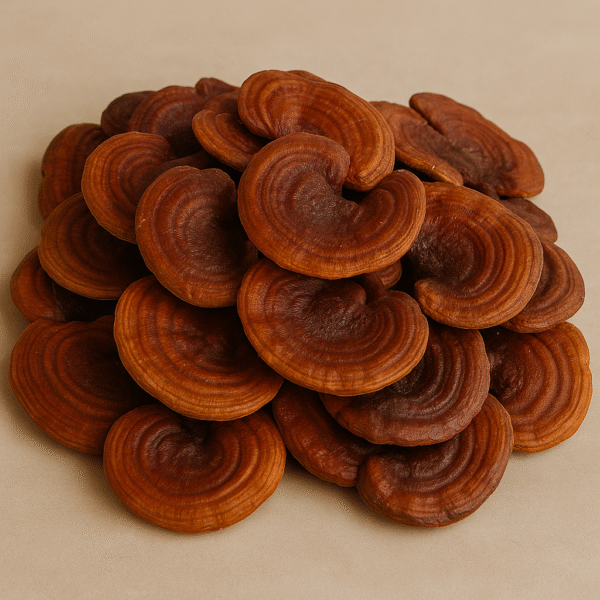 reishi fruit dried reishi fruit