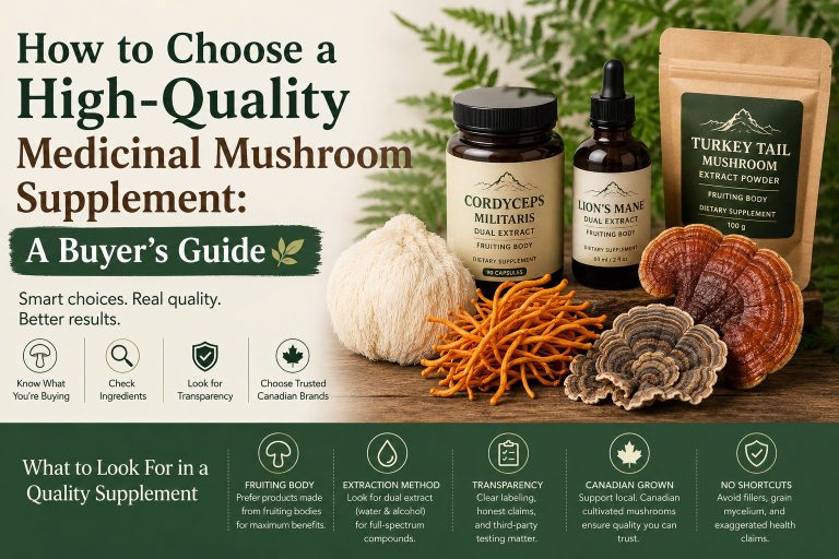 Medicinal mushroom supplement buyer's guide featuring Cordyceps, Lion's Mane, Reishi, and Turkey Tail products