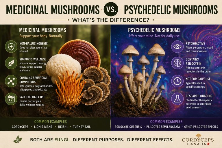 Medicinal mushrooms including Cordyceps, Lion's Mane, Reishi and Turkey Tail compared with psychedelic mushrooms.