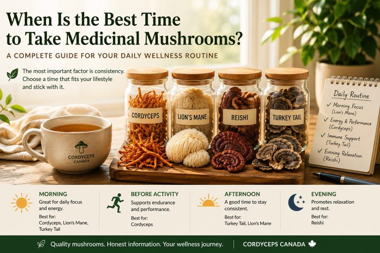 Morning wellness routine with Cordyceps, Lion's Mane, Reishi, and Turkey Tail dried medicinal mushrooms.