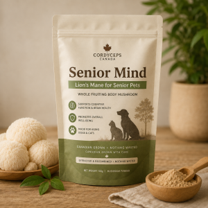 Senior Mind – Lion’s Mane for Senior Pets Senior Mind Lion’s Mane for Senior Pets mushroom powder by Cordyceps Canada